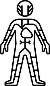 DIGITAL BODIES